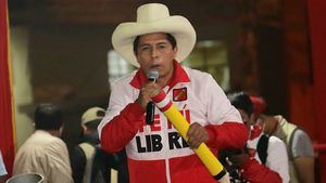 Elecciones Perú: el comunista Pedro Castillo lidera el recuento en la recta final