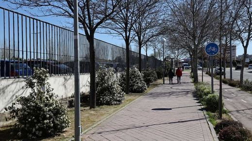 Árboles en Fuenlabrada