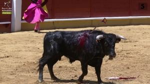 La Colombia de Petro aprueba la prohibición de las corridas de toros