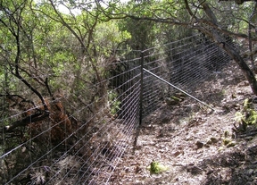 Varios grupos ecologistas piden a la Fiscalía que investigue dos obras en Cabañeros