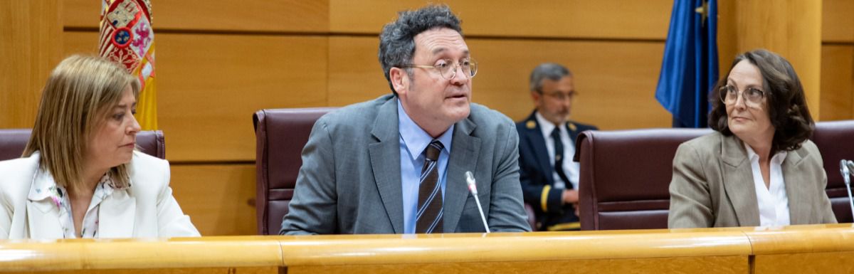 Álvaro García Ortiz, en el Senado